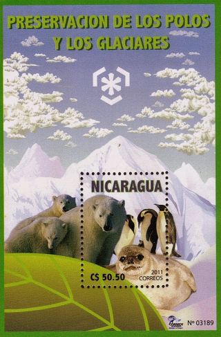 Nicaragua Preservation Of Polar Regions And Glaciers Sc 2519 2011 photo