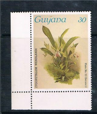 Guyana 1986 Orchid Sg 1771 photo