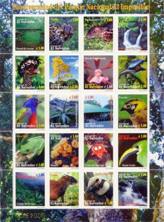 El Salvador 2000 Sc 1538 El Imposible Natl Park 20 Stamp Sheet,  Fauna,  Flora photo