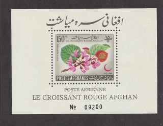 Afghanistan C28 Footnote Souvenir Sheet photo