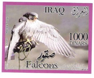 Iraq Ss - Falcons photo