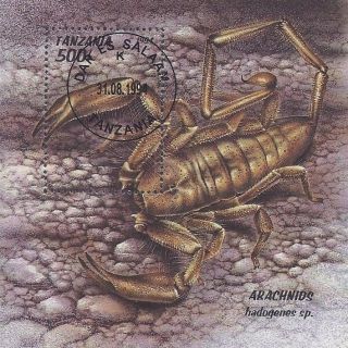 1994 Tanzania Souvenir Sheet Insect Arachnid Desert Animals Poison Scorpion Cto photo