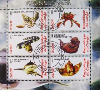 2011 Republic Of Congo Postage Mini - Sheet Of 6 Marine Sealife Nature Fish Cto photo