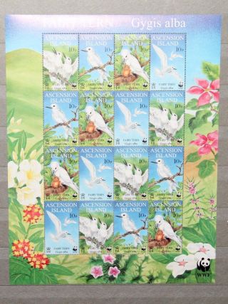 1999 Ascension Island Wwf Birds Fairy Tern Mini Sheet. photo