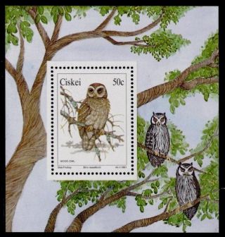Ciskei 166a Owls photo