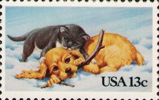 1982 Us 2025 Puppy Kitten Cats Dogs Domestic Animals Pets photo