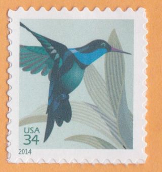 Hummingbird Bird Nature 2014 Postage Postcard Stamp Wildlife United States photo