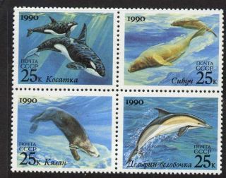 Ussr 5936a Whales,  Seals,  Dolphin photo