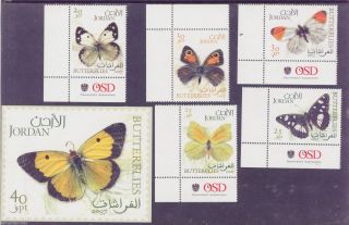 [jorbut07] Butterflies,  Insects,  Moths,  Complete,  Sheet,  Imperf,  Jordan,  2007 photo