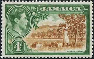 Jamaica 1938 (kgvi) 4d Brown And Green Sg127 Cv £1.  00 Mh P&p photo