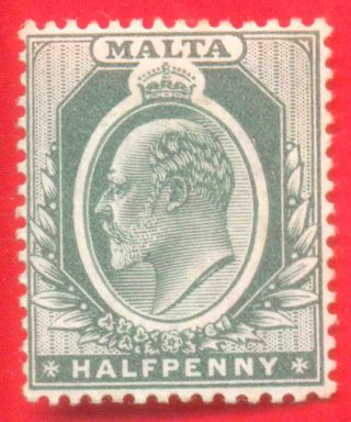 Mounted 1/2d Green Stamp 1903 - 04 Malta King Edward Vii Sg38 photo