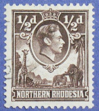 1951 Northern Rhodesia 1/2d Scott 26 S.  G.  26 Cs01271 photo