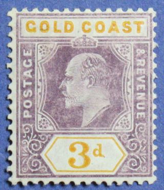 1906 Gold Coast 3d Scott 53a S.  G.  53a Cs01336 photo