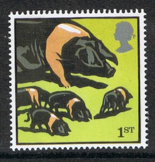 British Saddleback Pigs Illustrated On 2005 British Stamp - Nh photo