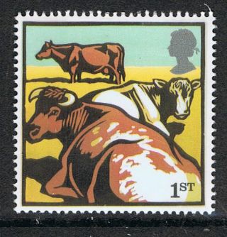 Dairy Shorton Cattle Illustrated On 2005 British Stamp - Nh photo