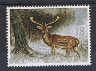 Fallow Dear In Scottish Forest Illustrated On 1992 British Stamp - Nh photo