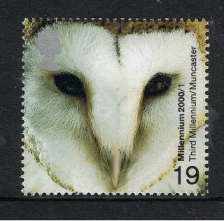 Barn Owl Illustrated On 2000 Millennium British Stamp - Nh photo