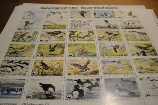 Danish World Wild Foundation Charity Stamp - 1988 - Complete.  Very Unique & Rare photo