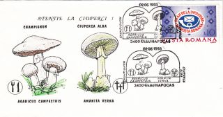 (22520) Romania Fdc - Mushrooms / Fungus 1993 photo