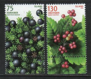 Iceland 2006 Local Berries - - Attractive Fruit Topical (1082 - 83) photo