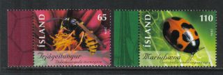 Iceland 2006 Local Insects - - Attractive Topical (1089 - 90) photo