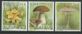 Finland Aland 2003 - Nature Flora Plants Mushrooms - Sc 194,  7,  0 photo