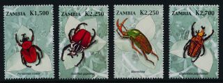 Zambia 1045 - 50 Insects,  Beetles,  Flower photo