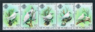 Seychelles 1981 Birds (3rd Series) Sg 500a photo