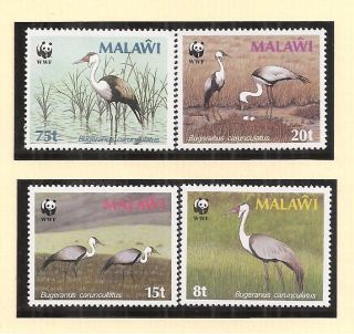 (72391) Malawi Wattled Crane - U/m 1987 photo