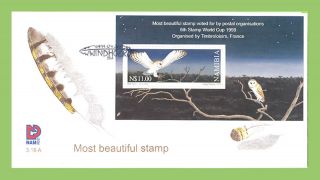 Namibia 1999 World Most Stamp,  Owl Miniature Sheet First Day Cover photo