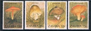 Zambia 1984 Fungi Sg 420/3 photo