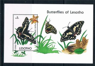 Lesotho 1990 Butterflies Ms Sg 957 photo