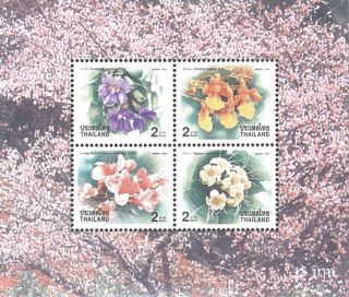 Thailand Stamp,  1999 Ss205 Year S/s,  Flower,  Flora,  Blossom,  Plant photo
