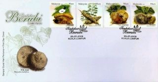 Tuber Plants,  Flower,  Tree Malaysia 2009 (stamp Fdc) photo