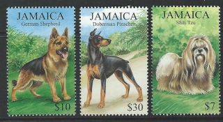 Jamaica 1999 Sc 908 - 910 Dogs photo
