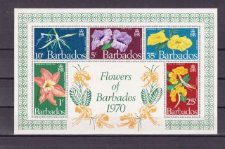 Barbados 352a Flowers Of Barbados 1970vf S/s Bh photo