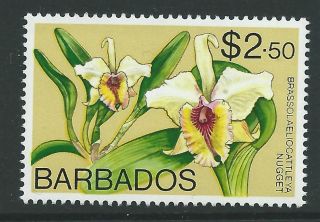 Barbados Sg522 1975 $2.  50 Orchid Wmk Digonal photo