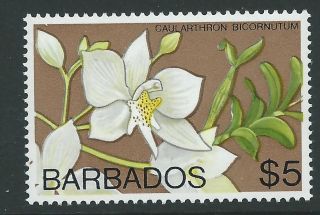 Barbados Sg523 1975 $5 Orchid Wmk Digonal photo