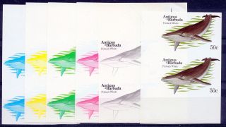 1983 Antigua Barbuda Whales 50¢ Finback Whale Imperf Progressive Proofs (6) photo