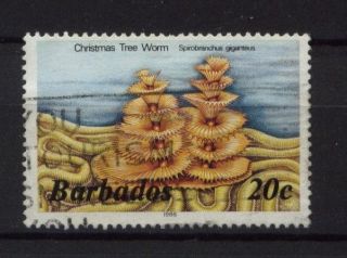 Barbados 1985 - 8 Sg 798b 20c Marine Life 