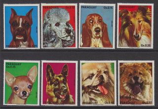 Paraguay - 1975 Dogs (8v) Um / photo