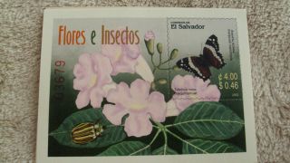 El Salvador Flores E Insectos Sheet With One Stamp,  Vhtf photo