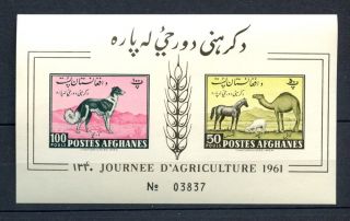 Afghanistan 1961 Agriculture Imperf M/s A32465 photo