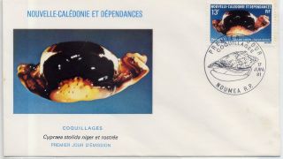 Cypraea Stolida Niger Rostrate Stamp France Caledonia Envelope Cancel Cover photo