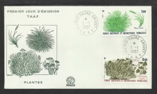 Taaf French Antarctic 1987 Plants 2v Fdc photo