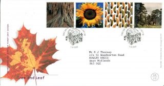 1 August 2000 Tree And Leaf Royal Mail First Day Cover St Austell Shs photo