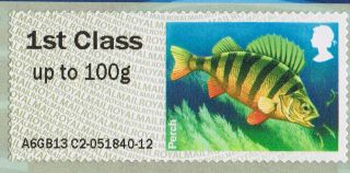 The Perch (freshwater Fish) Illustrated On 2013 Self - Adhesive Gb Stamp photo
