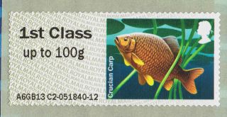 Crucian Carp (freshwater Fish) Illustrated On 2013 Self - Adhesive Gb Stamp photo