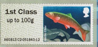 Arctic Char (freshwater Fish) Illustrated On 2013 Self - Adhesive Gb Stamp photo