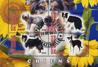 2013 Republic Of Congo Postage Mini - Sheet Of 4 Dogs Canines Shetland Collie Cto photo